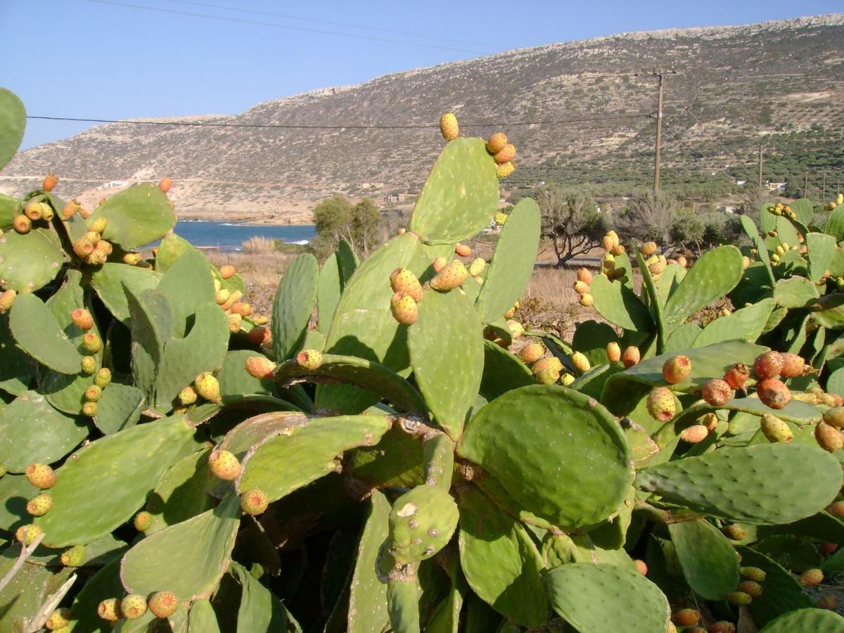 Papadiokampos Maissonete Roussa Limni Exterior foto